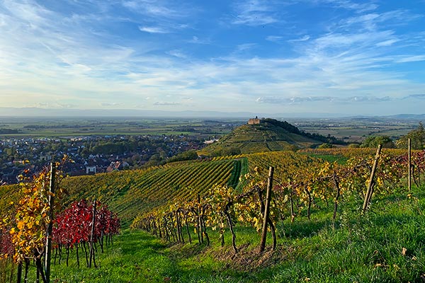 Blick über Staufen, die Burgruine, das Rheintal und die Vogesen